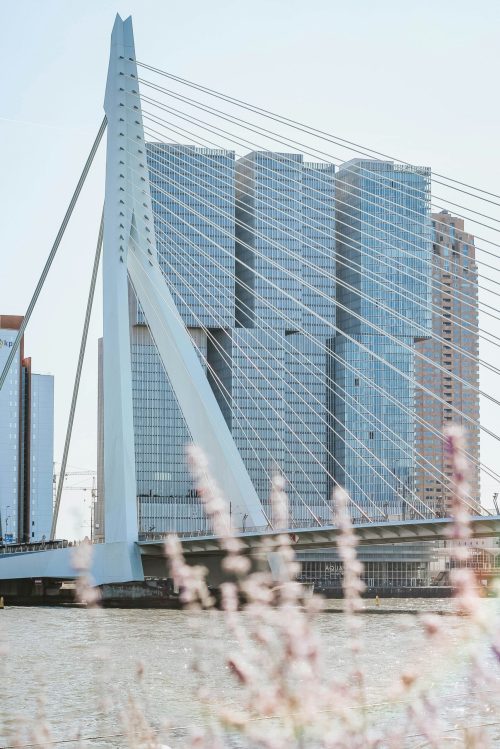 micheile-henderson-Dr7vuYmhOTU-unsplash